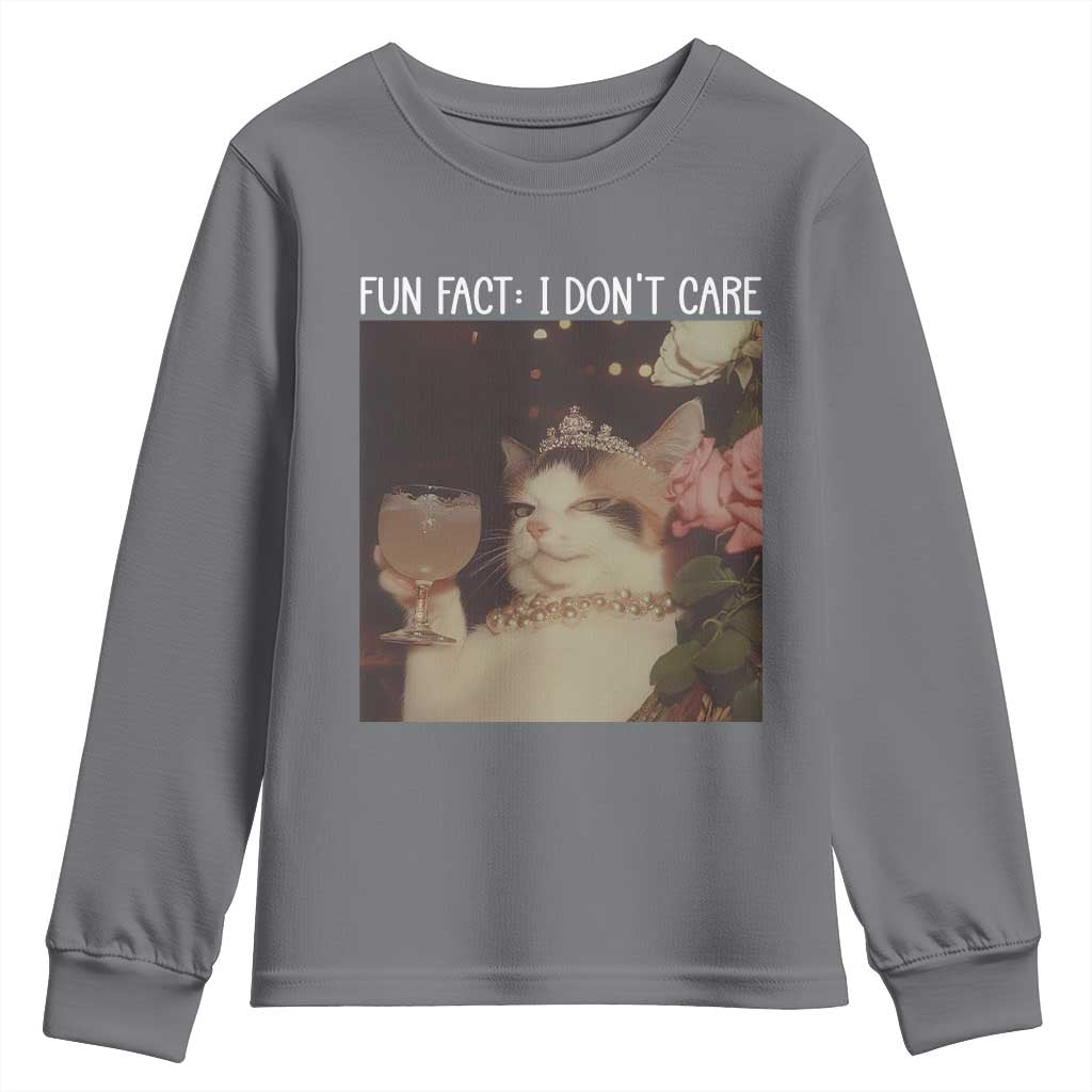 Cat Meme Youth Sweatshirt Fun Fact I Dont Care Funny Saying Quote TS10 Charcoal Print Your Wear