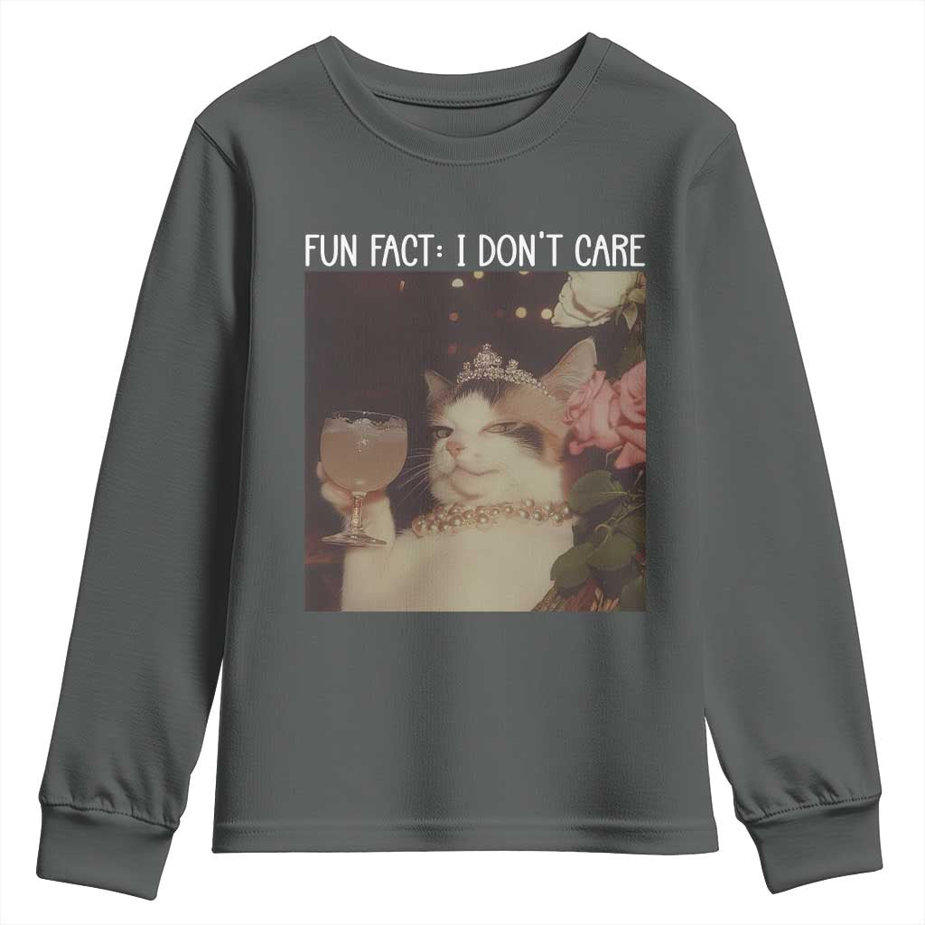 Cat Meme Youth Sweatshirt Fun Fact I Dont Care Funny Saying Quote TS10 Dark Heather Print Your Wear