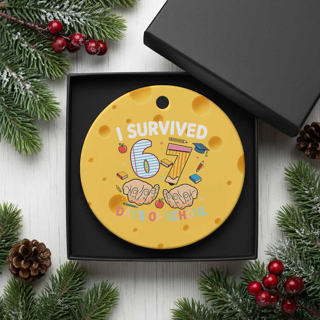 I Survived 67 Days of School Funny Six Seven Meme Ceramic Ornament TS10 1pc Yellow Cheese Print Your Wear