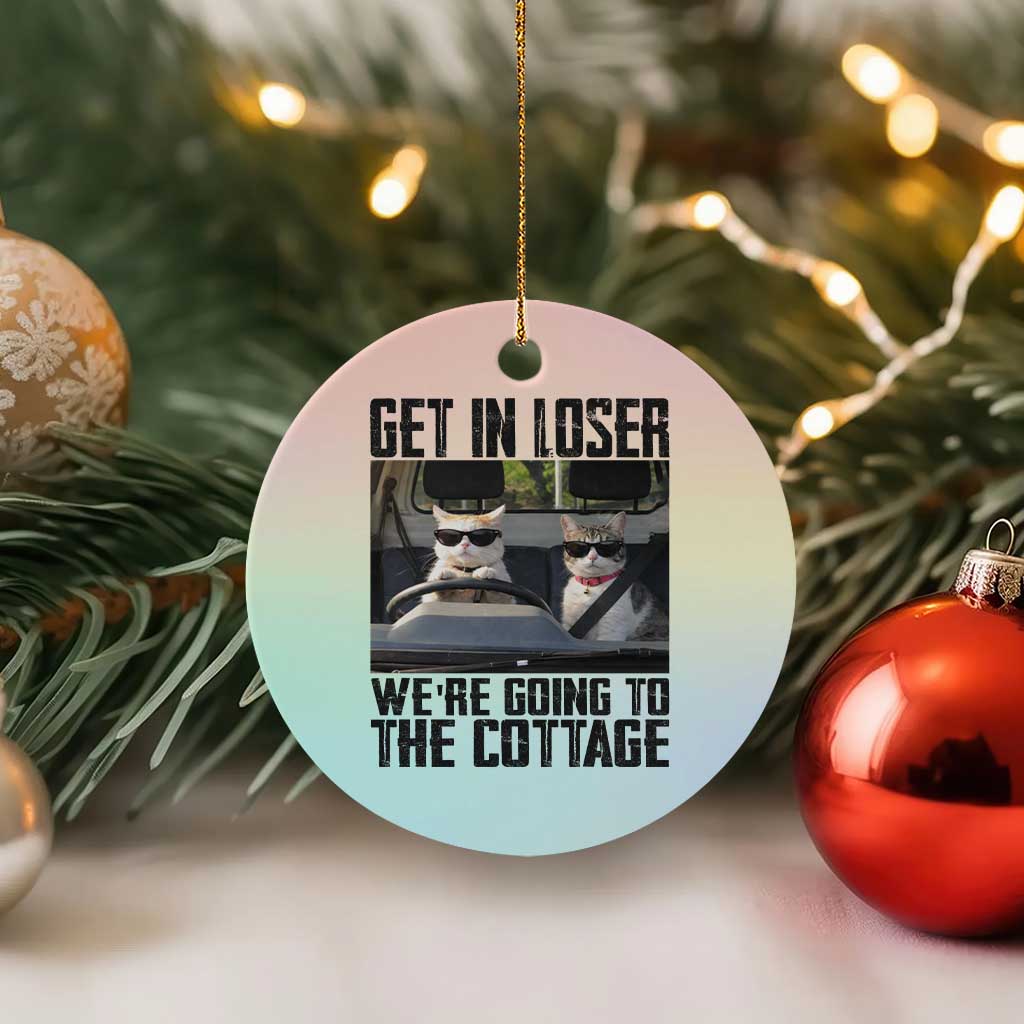 Get In Loser Were Going To The Cottage Ceramic Ornament Funny Cat Gifts Internet Memes TS10 1pc Pastel Print Your Wear