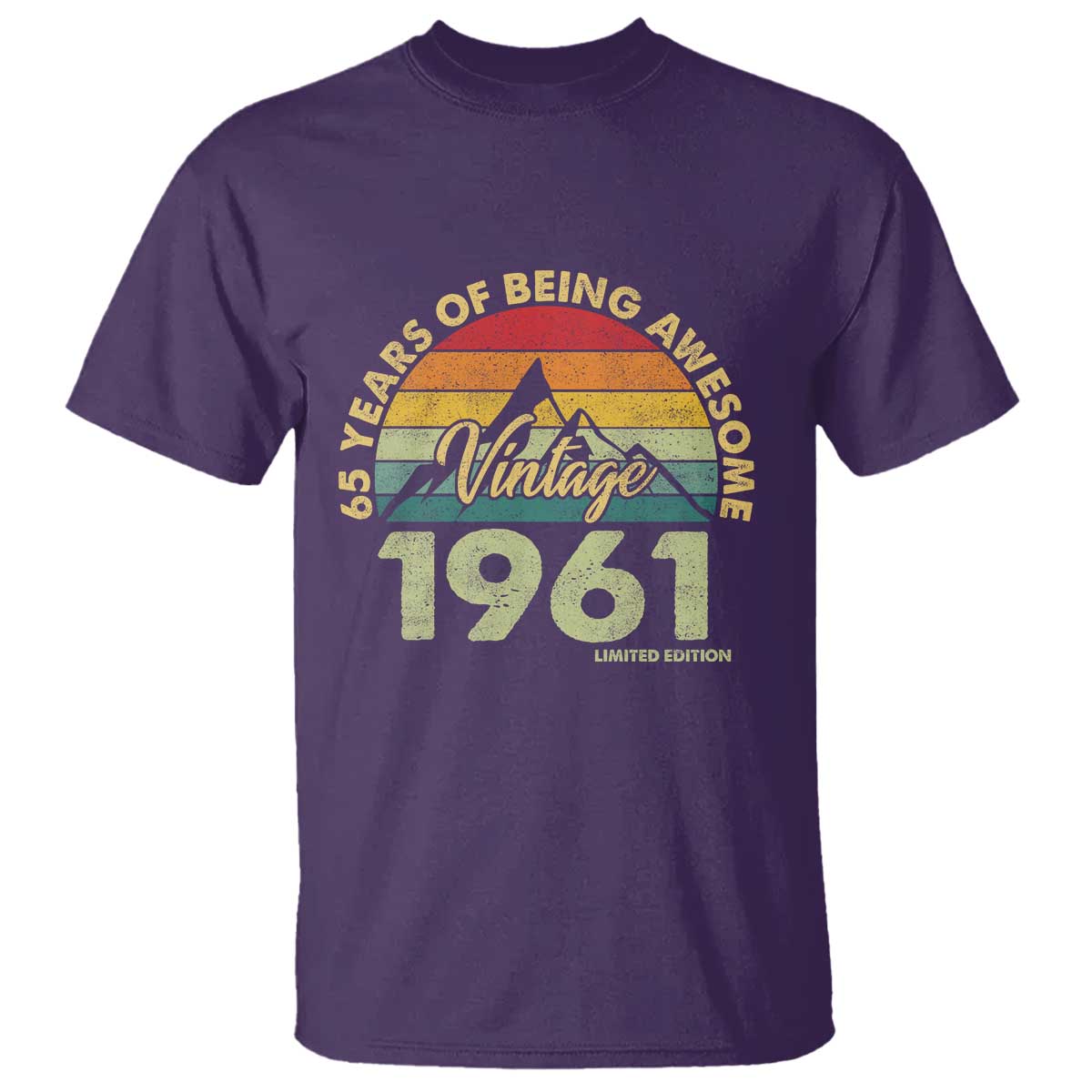 65th Birthday T Shirt Vintage 1961 Limited Edition 65 Year Old Gift