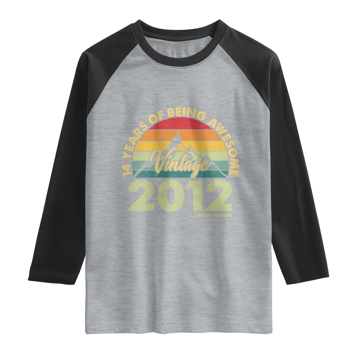 14th Birthday Raglan Shirt Vintage 2012 Limited Edition 14 Year Old Gift