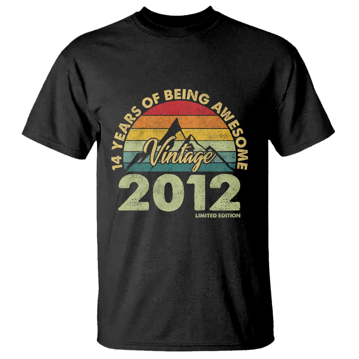 14th Birthday T Shirt Vintage 2012 Limited Edition 14 Year Old Gift
