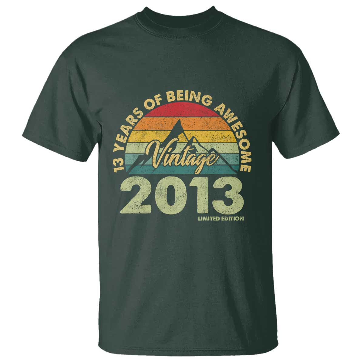 13th Birthday T Shirt Vintage 2013 Limited Edition 13 Year Old Gift