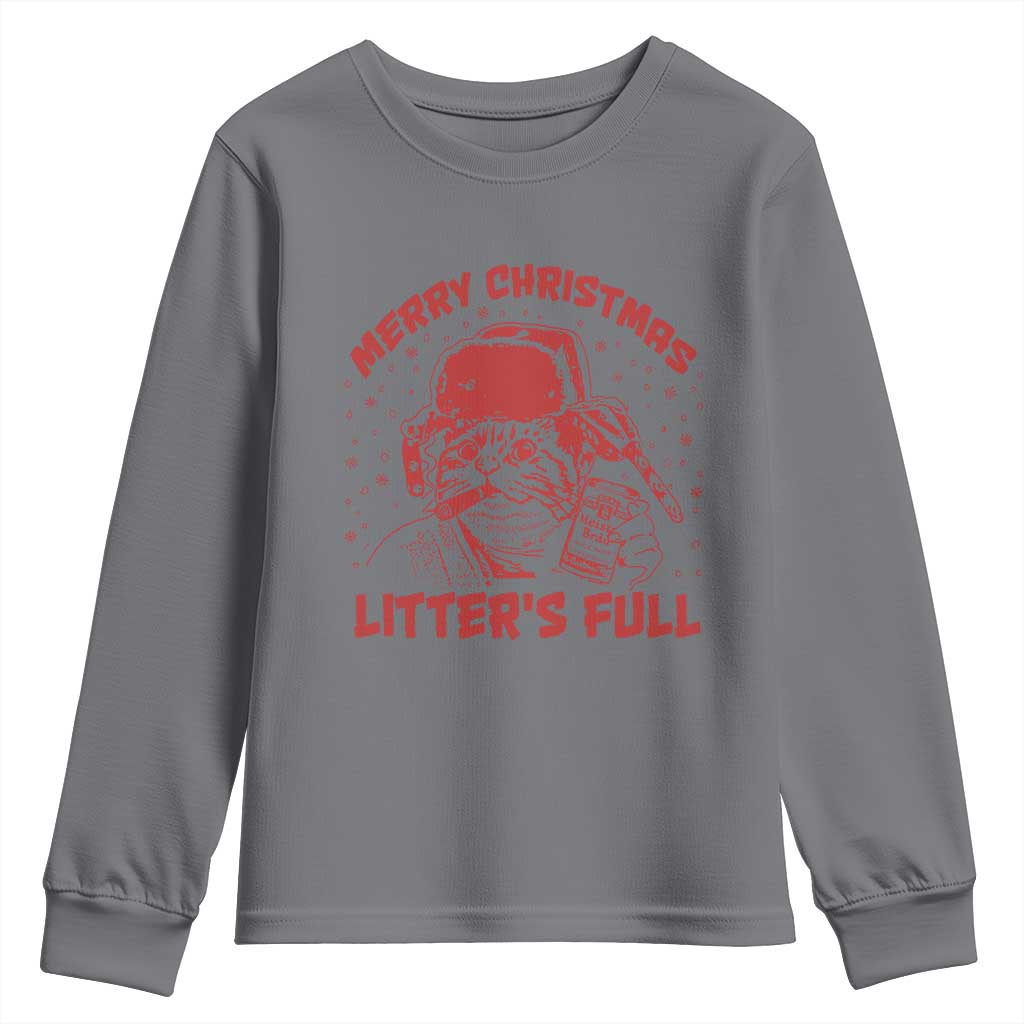 Litters Full Youth Sweatshirt Funny Cat Christmas Vacation TS10 Charcoal Print Your Wear