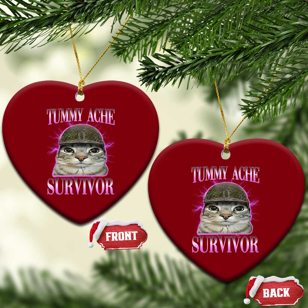 Tummy Ache Survivor Cat Meme Ceramic Ornament Funny Trending Oddly Specific Brainrot Memes TS10 Print Your Wear