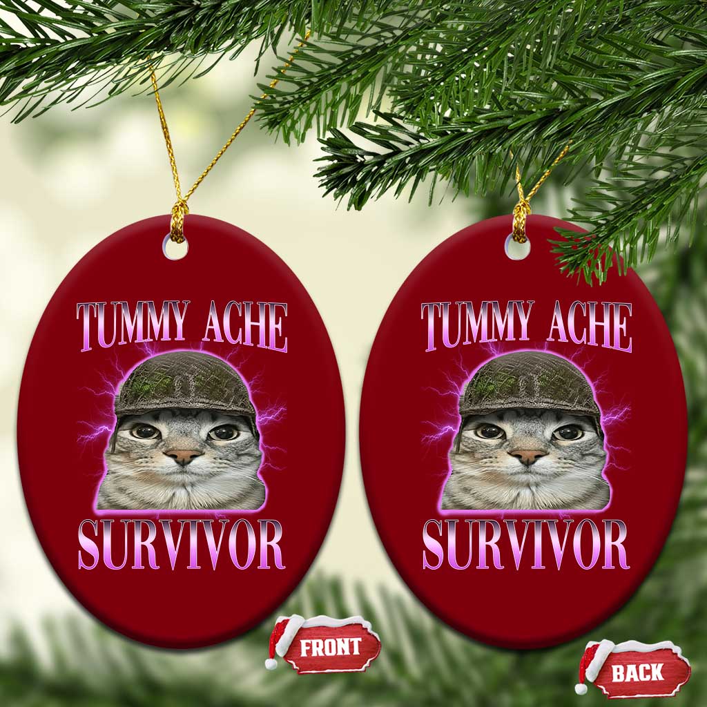 Tummy Ache Survivor Cat Meme Ceramic Ornament Funny Trending Oddly Specific Brainrot Memes TS10 Print Your Wear