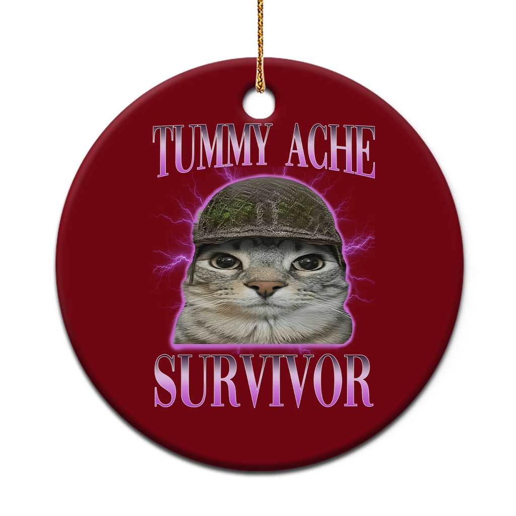 Tummy Ache Survivor Cat Meme Ceramic Ornament Funny Trending Oddly Specific Brainrot Memes TS10 1pc Red Print Your Wear