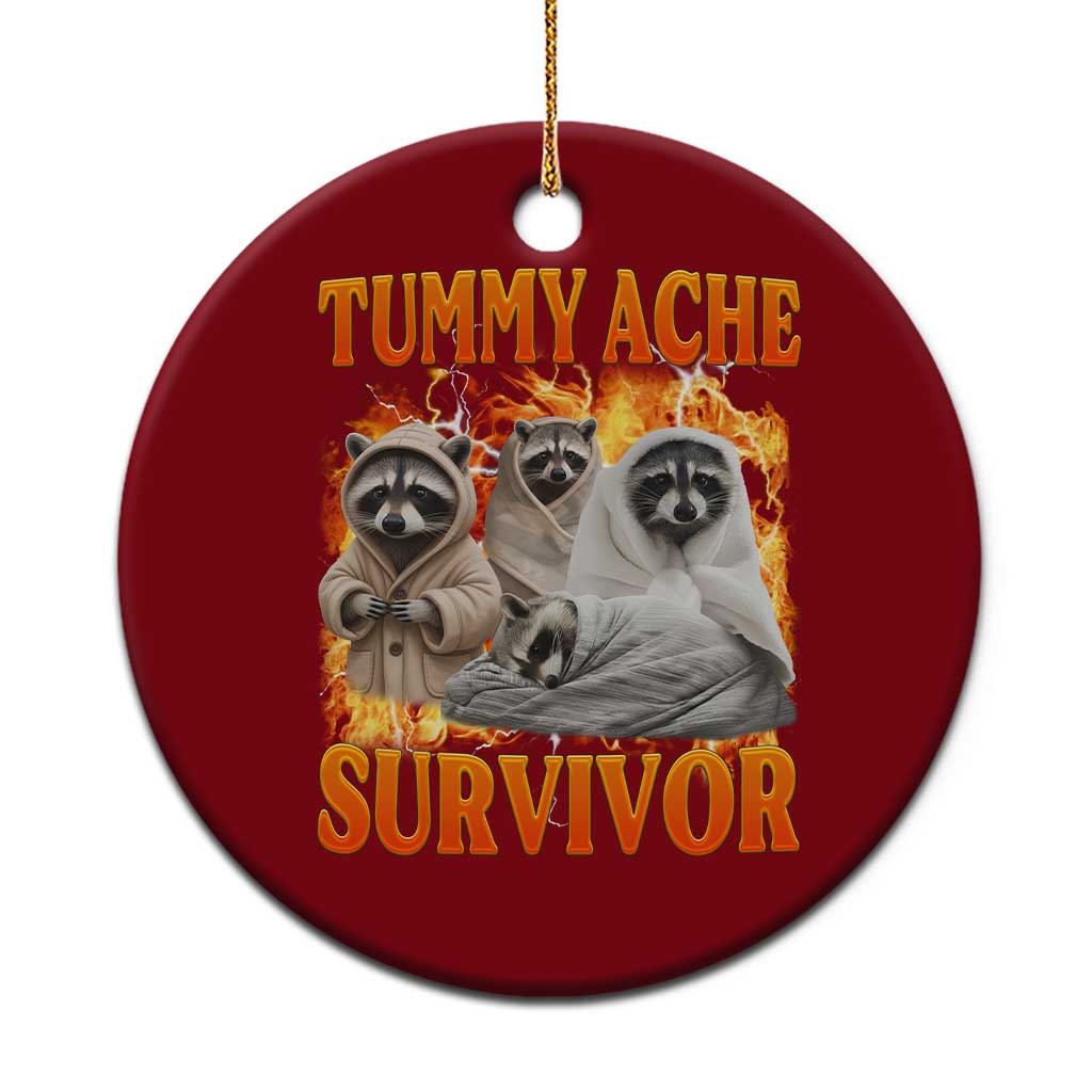 Tummy Ache Survivor Raccoon Meme Ceramic Ornament TS10 1pc Red Print Your Wear