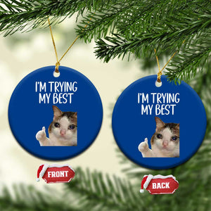 Im Trying My Best Funny Crying Cat Meme Ceramic Ornament TS10 1pc Blue Print Your Wear