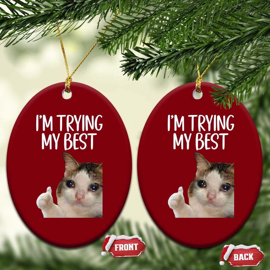 Im Trying My Best Funny Crying Cat Meme Ceramic Ornament TS10 Print Your Wear