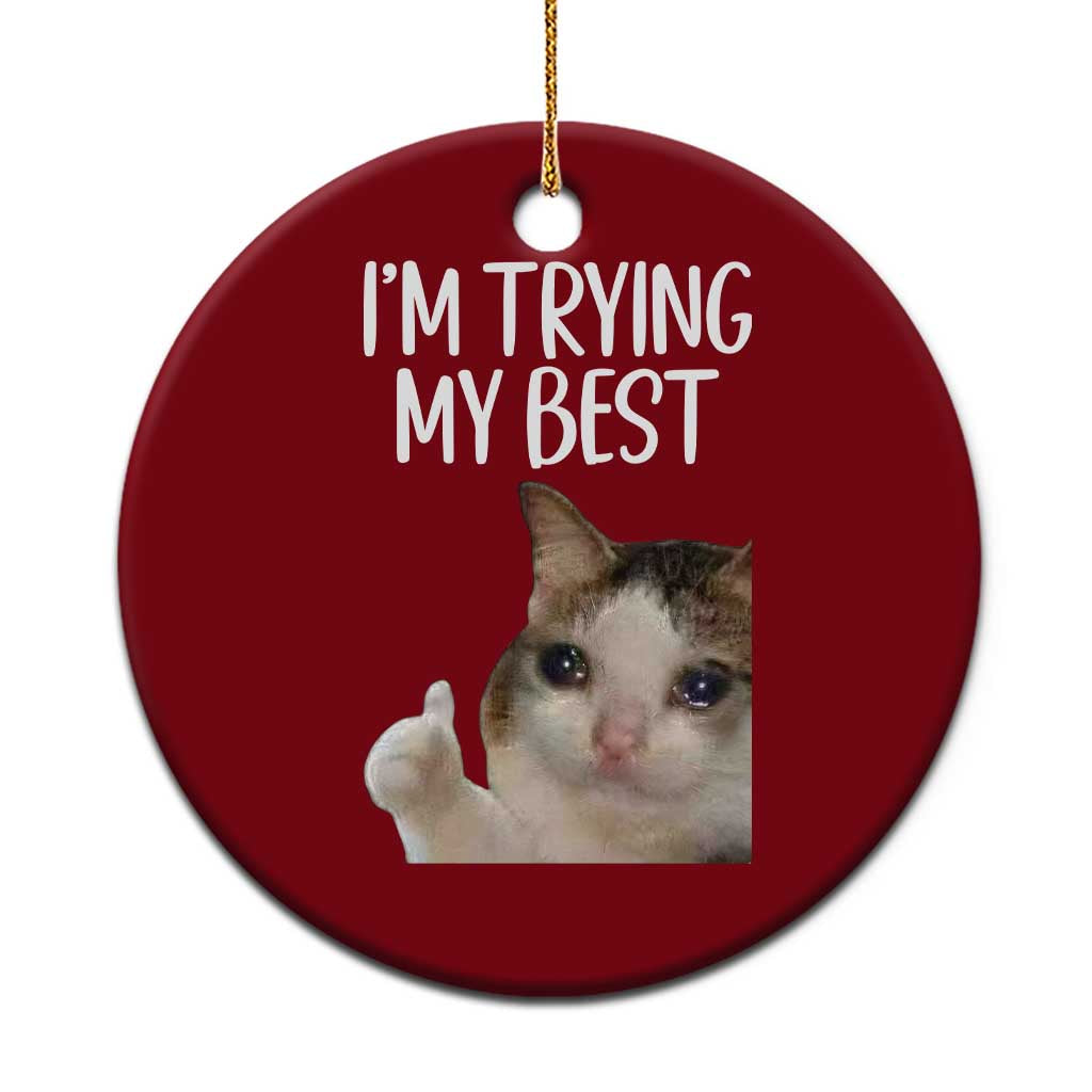Im Trying My Best Funny Crying Cat Meme Ceramic Ornament TS10 1pc Red Print Your Wear