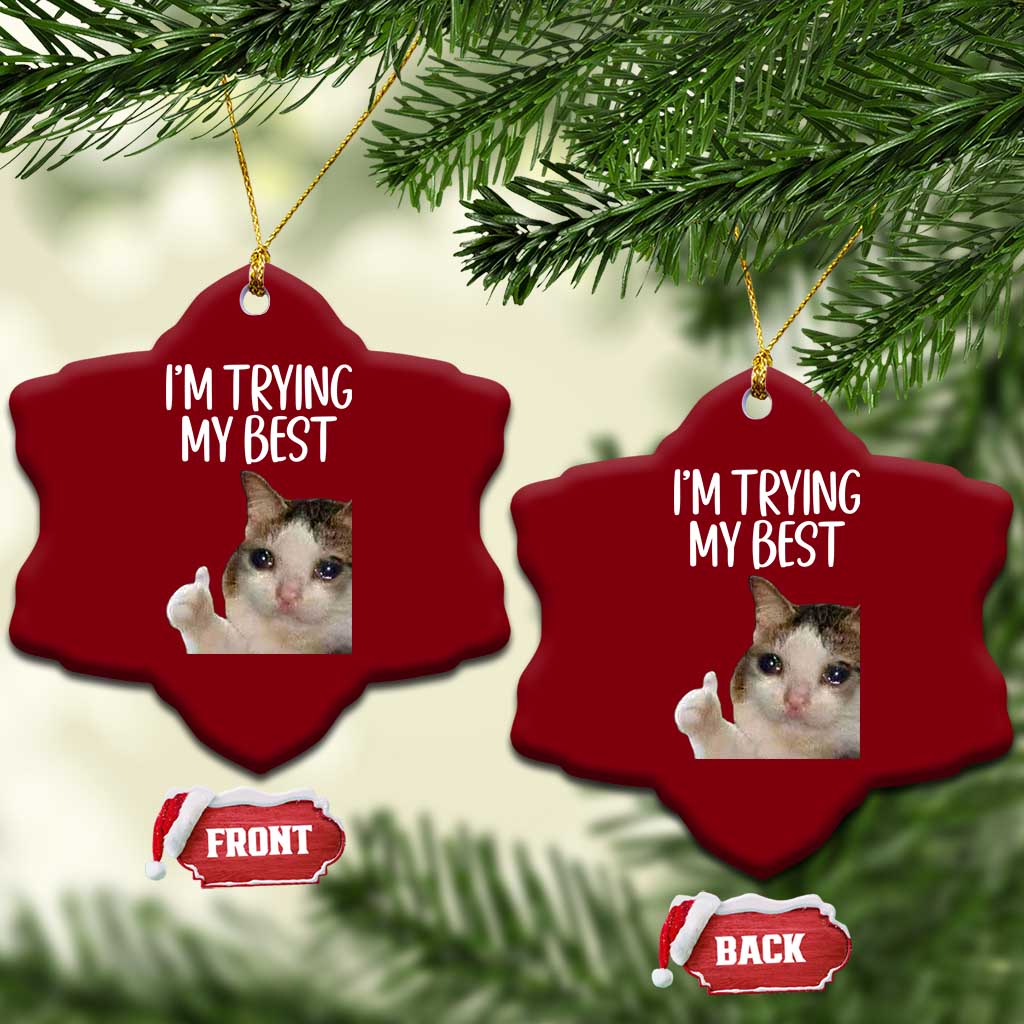 Im Trying My Best Funny Crying Cat Meme Ceramic Ornament TS10 Print Your Wear