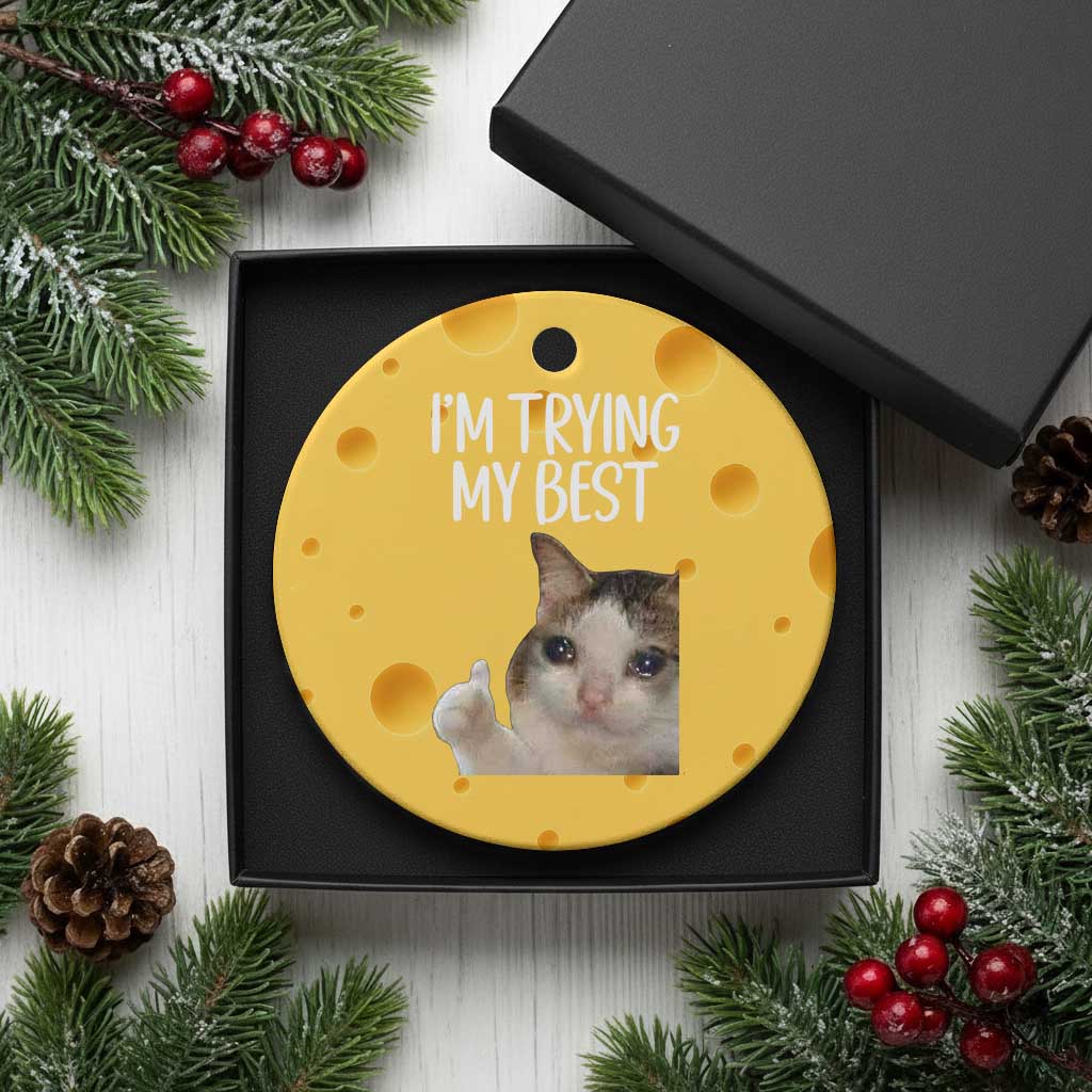 Im Trying My Best Funny Crying Cat Meme Ceramic Ornament TS10 1pc Yellow Cheese Print Your Wear