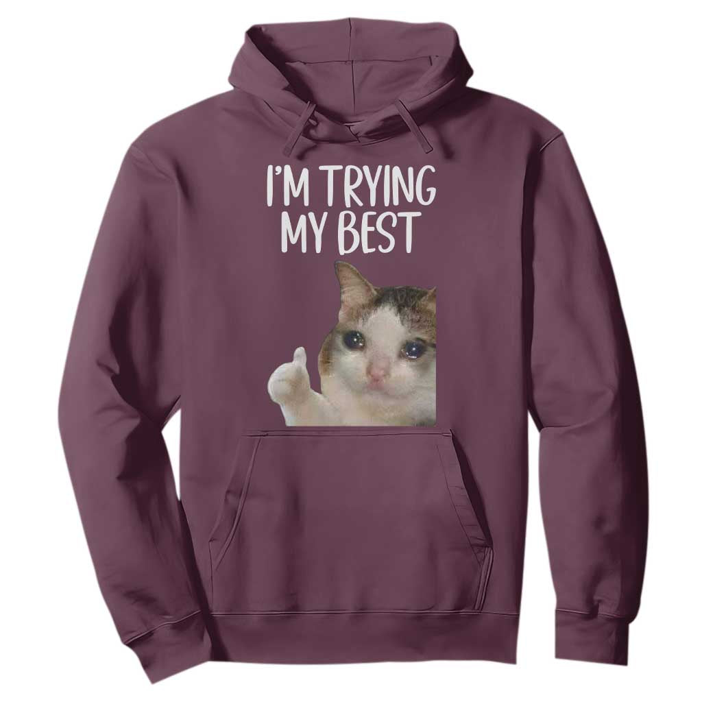 Im Trying My Best Funny Crying Cat Meme Hoodie TS10 Maroon Print Your Wear