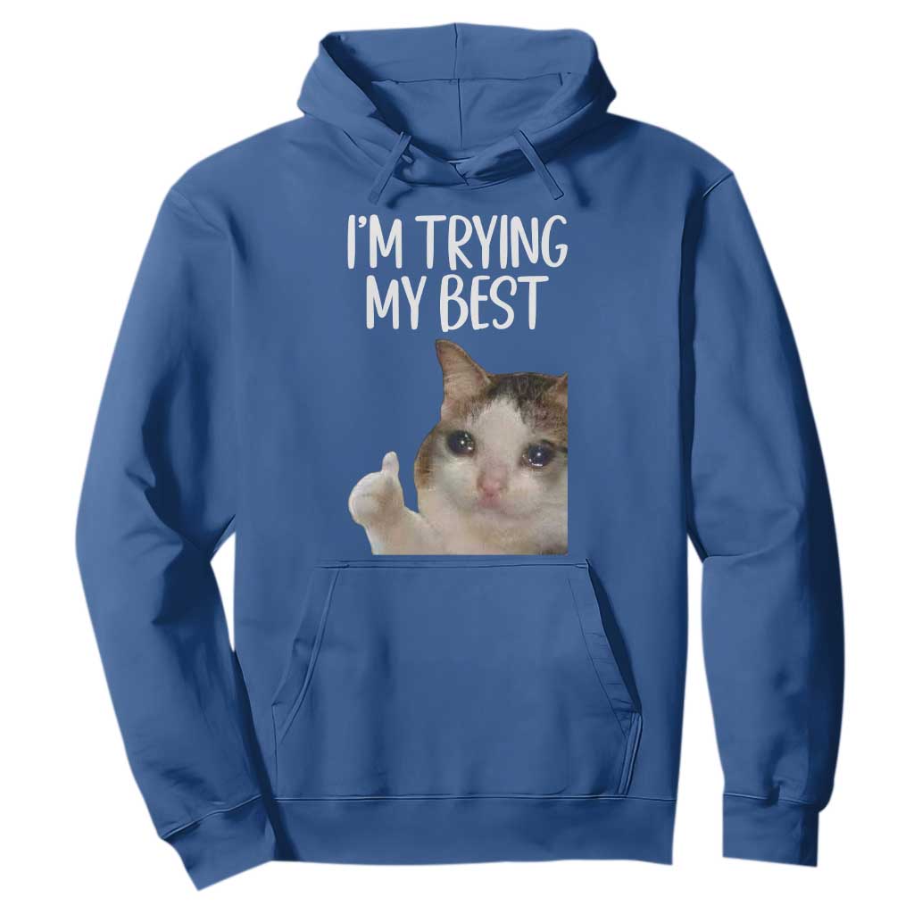 Im Trying My Best Funny Crying Cat Meme Hoodie TS10 Royal Blue Print Your Wear