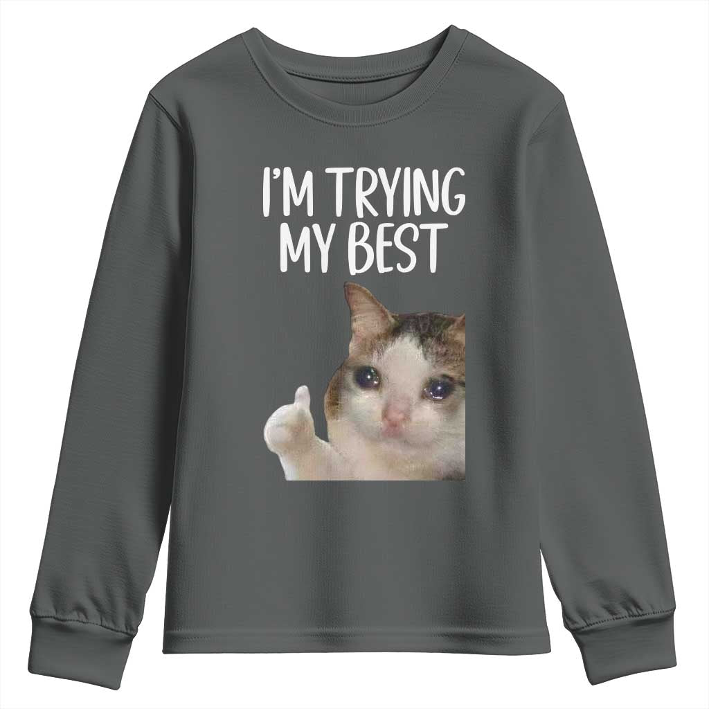 Im Trying My Best Funny Crying Cat Meme Youth Sweatshirt TS10 Dark Heather Print Your Wear