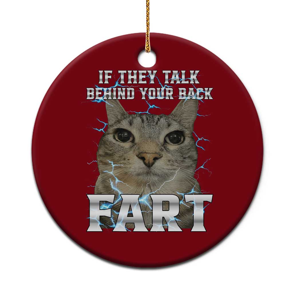 Cat Meme If They Talk Behind Your Back Fart Ceramic Ornament Funny Oddly Specific TS10 1pc Red Print Your Wear