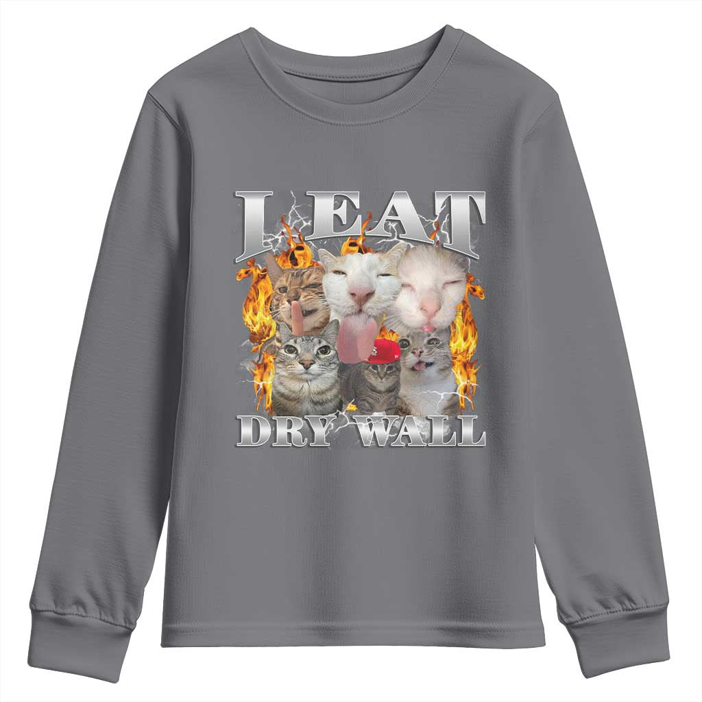 Funny Cat Meme Bootleg Graphic Youth Sweatshirt I Eat Drywall Funny Weird Cursed Internet Memes TS10 Charcoal Print Your Wear