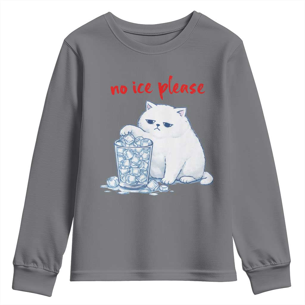 Abolish Ice Protest Youth Sweatshirt Subtle FDT Cat Meme No Ice Please TS10 Charcoal Print Your Wear