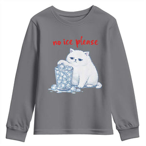 Abolish Ice Protest Youth Sweatshirt Subtle FDT Cat Meme No Ice Please TS10 Charcoal Print Your Wear
