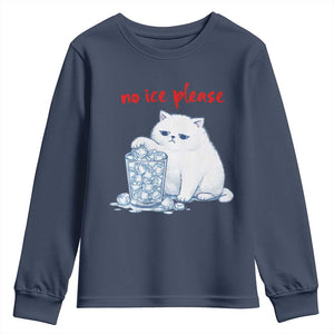 Abolish Ice Protest Youth Sweatshirt Subtle FDT Cat Meme No Ice Please TS10 Navy Print Your Wear