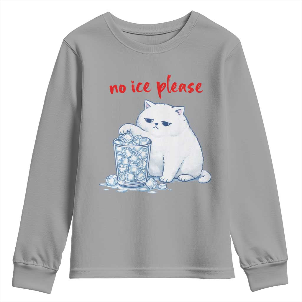 Abolish Ice Protest Youth Sweatshirt Subtle FDT Cat Meme No Ice Please TS10 Sport Gray Print Your Wear