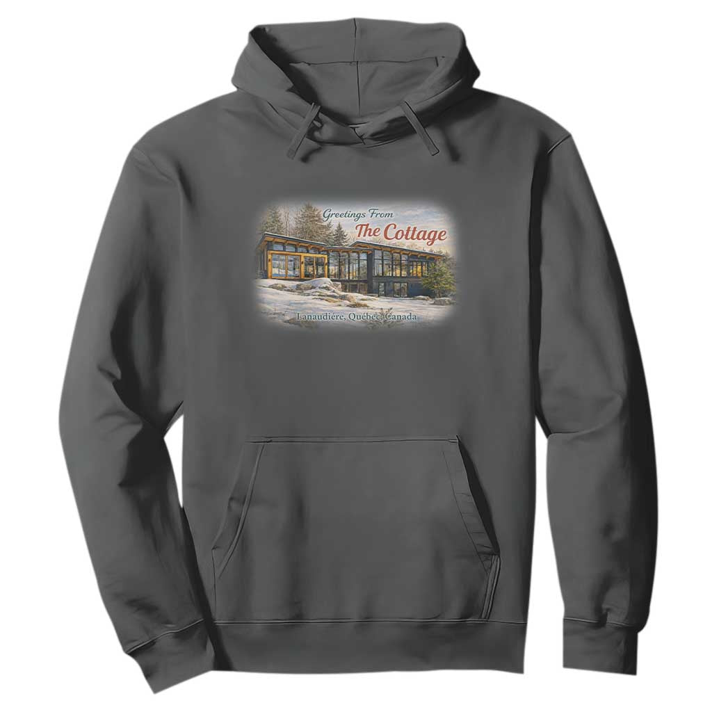 Coming To The Cottage Hoodie Retro LGBT Romance Hockey Fan TS10 Dark Heather Print Your Wear