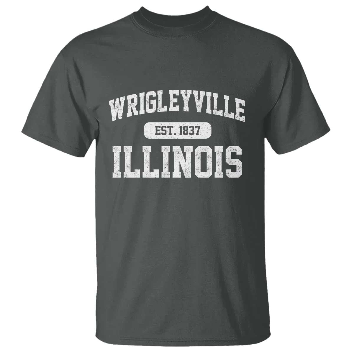 Wrigleyville Illinois T Shirt Vintage Chicago Classic Distressed Baseball Fan Gift TS10 Dark Heather Print Your Wear