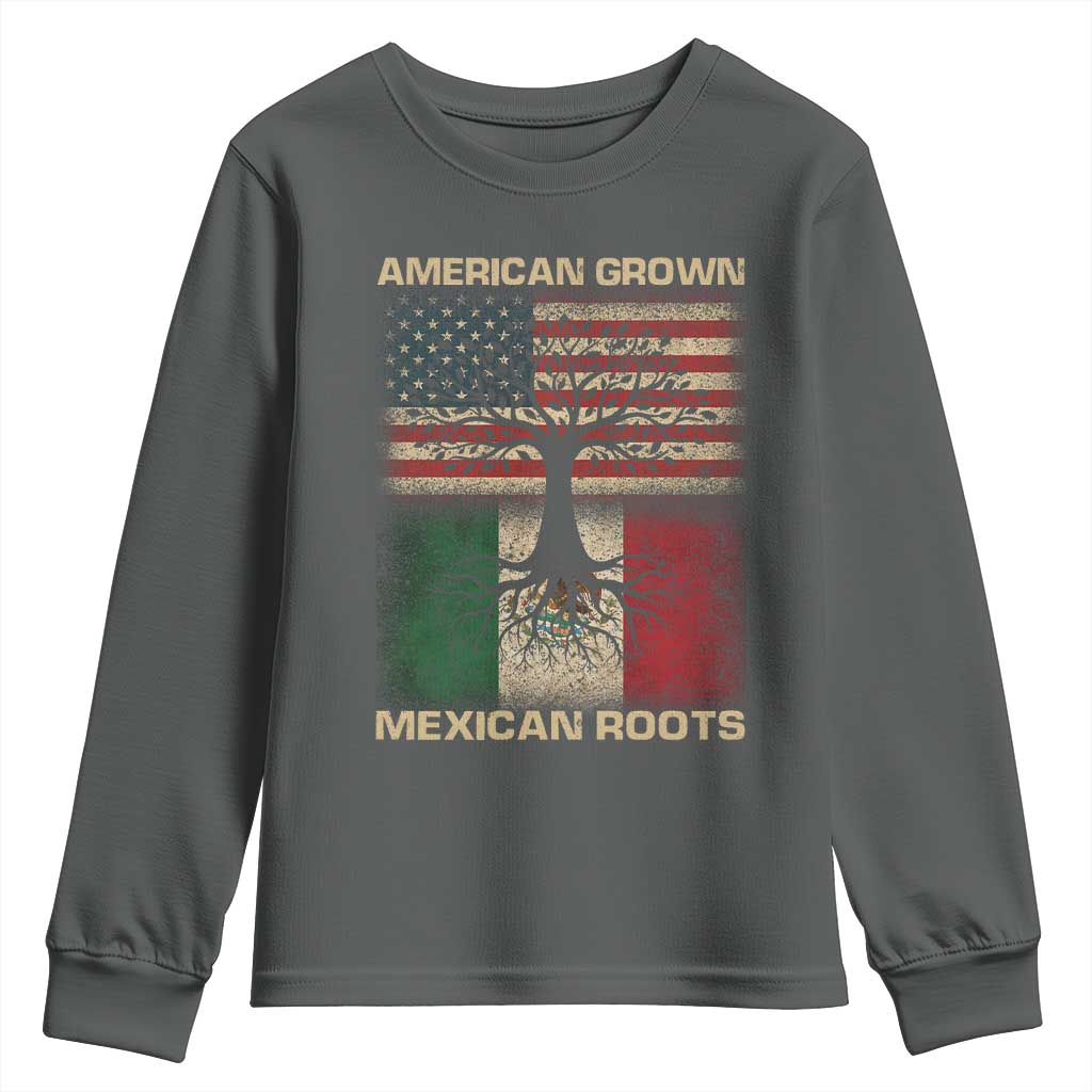 American Grown Mexican Roots Youth Sweatshirt Retro Mexico America Flag TS10 Dark Heather Print Your Wear