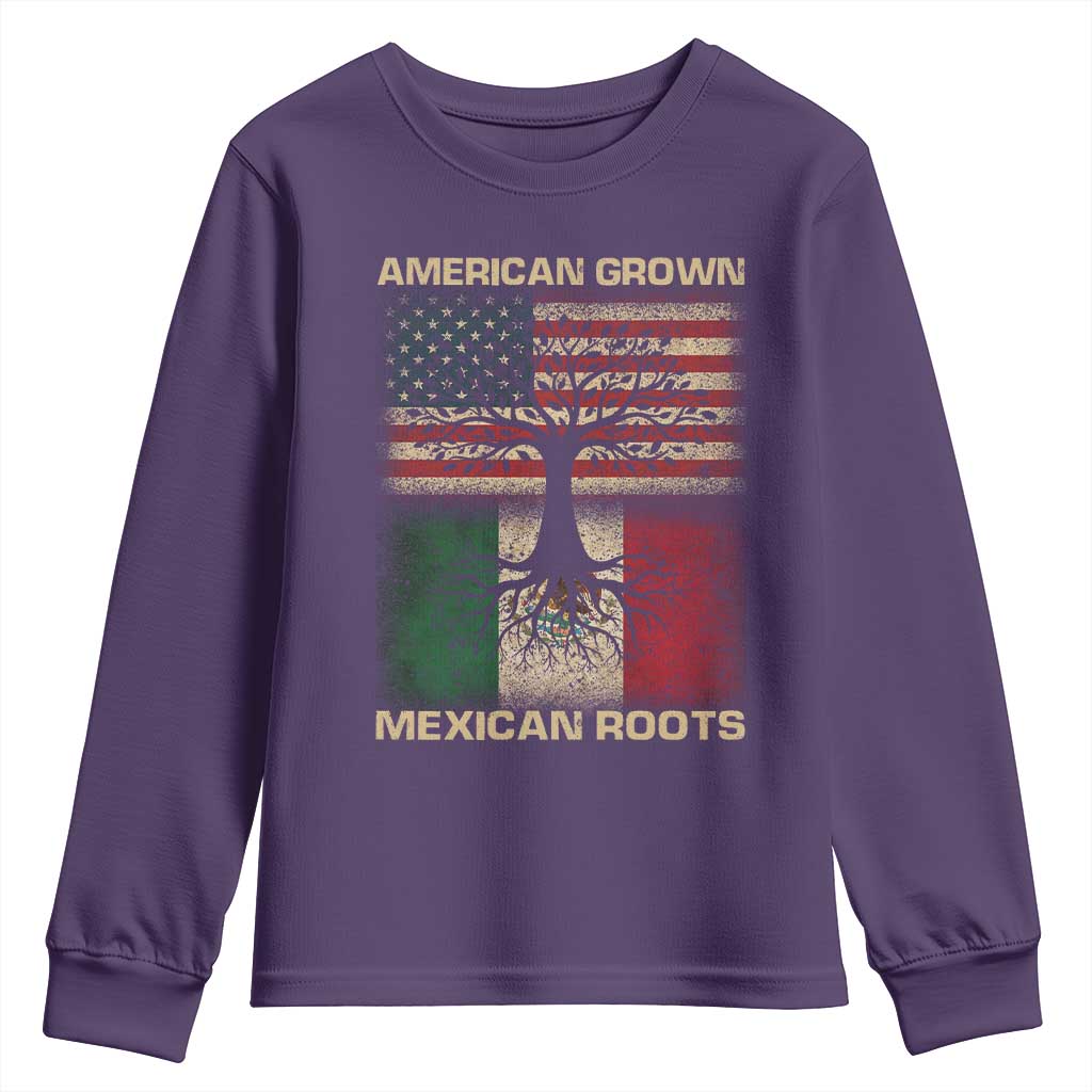 American Grown Mexican Roots Youth Sweatshirt Retro Mexico America Flag TS10 Purple Print Your Wear