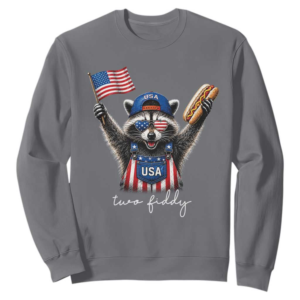 Funny Two Fiddy Raccoon Patriotic Sweatshirt USA Flag Hot Dog Fourth of July USA 250th Anniversary