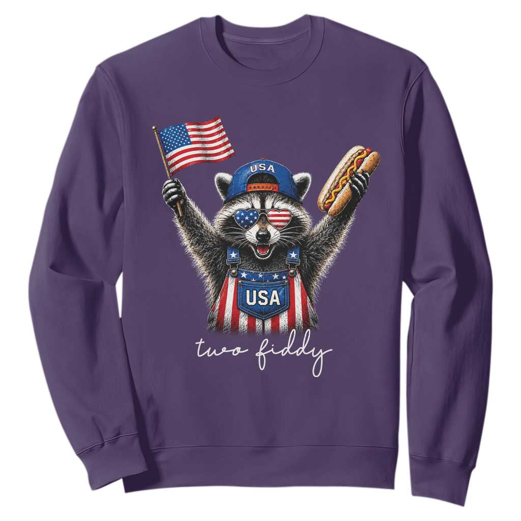 Funny Two Fiddy Raccoon Patriotic Sweatshirt USA Flag Hot Dog Fourth of July USA 250th Anniversary