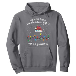 Funny Christmas Hoodie We Can Leave The Christmas Lights Up 'Til January Merry Xmas Lights TS10 Charcoal Print Your Wear