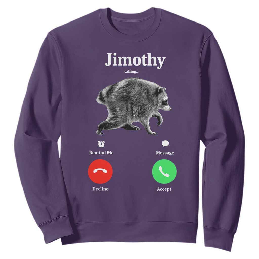 Jimothy Calling Phone Call Seattle Raccoon Sweatshirt