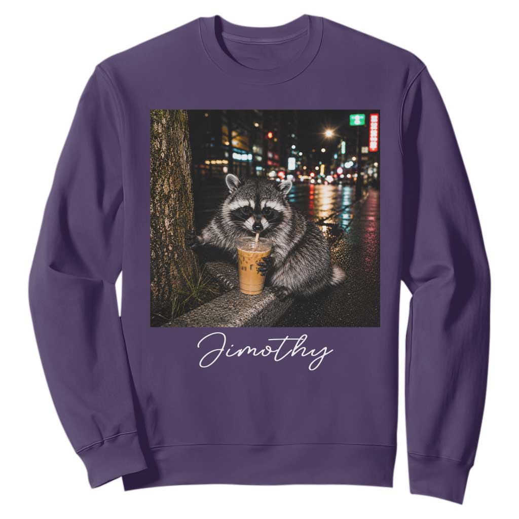 Jimothy Raccoon Drinking Iced Coffee Night City Aesthetic Sweatshirt