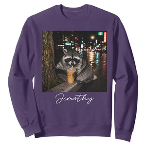 Jimothy Raccoon Drinking Iced Coffee Night City Aesthetic Sweatshirt