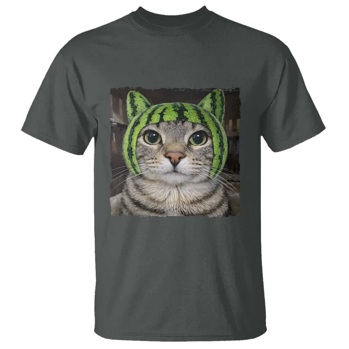 Watermelon Cat Silly Cat Meme T Shirt TS10 Dark Heather Print Your Wear