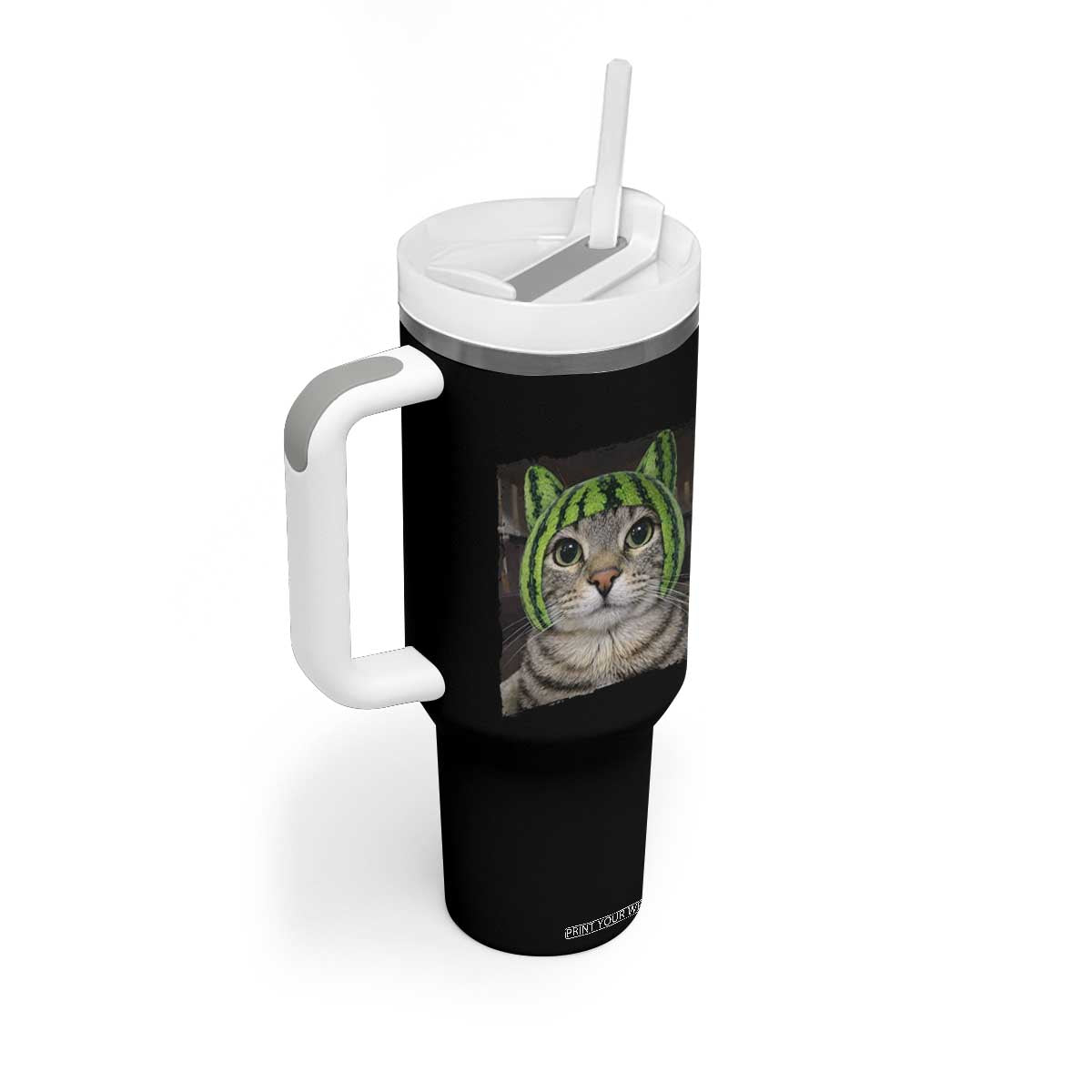 Watermelon Cat Silly Cat Meme Tumbler With Handle TS10 Print Your Wear