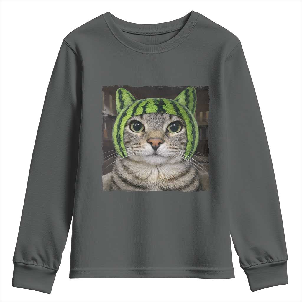 Watermelon Cat Silly Cat Meme Youth Sweatshirt TS10 Dark Heather Print Your Wear