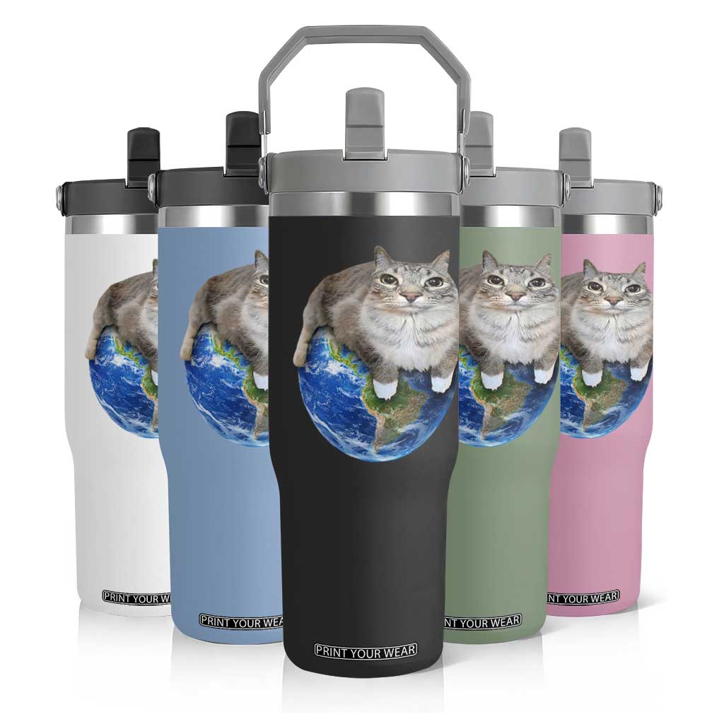 Earth Cat Silly Cat Meme Flip Straw Tumbler TS10 Print Your Wear