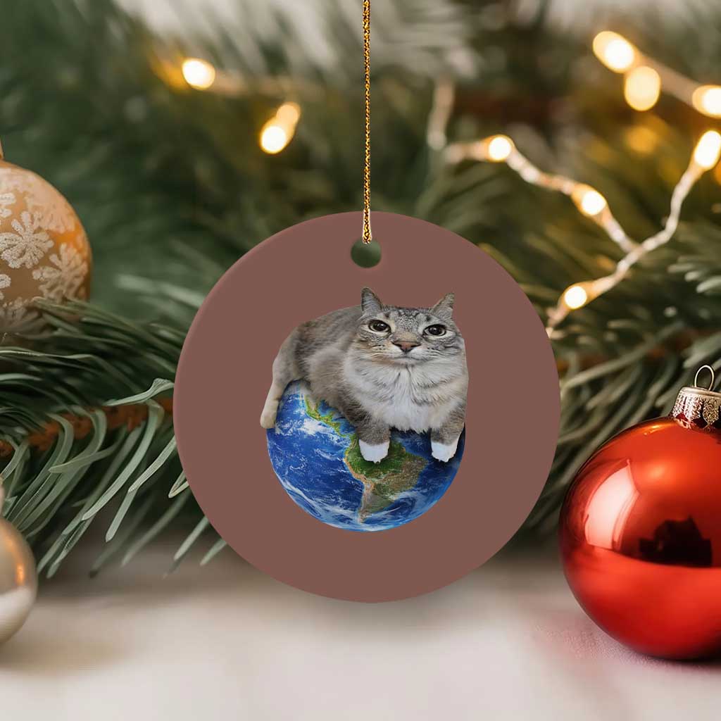 Earth Cat Silly Cat Meme Ceramic Ornament TS10 1pc Mocha Print Your Wear