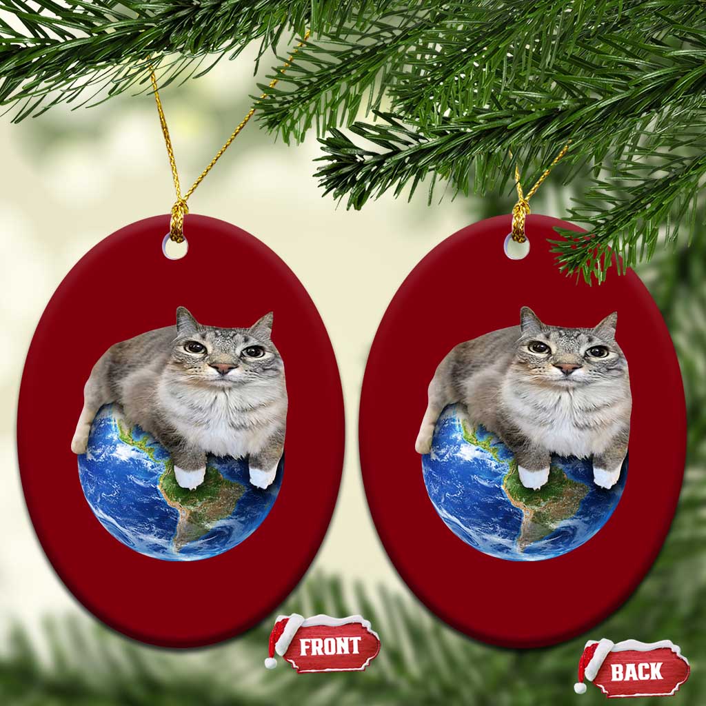 Earth Cat Silly Cat Meme Ceramic Ornament TS10 Print Your Wear