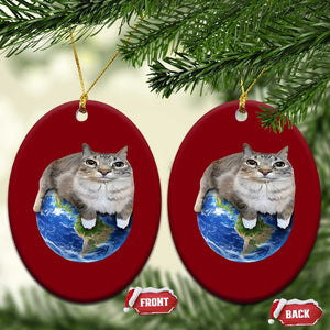 Earth Cat Silly Cat Meme Ceramic Ornament TS10 Print Your Wear