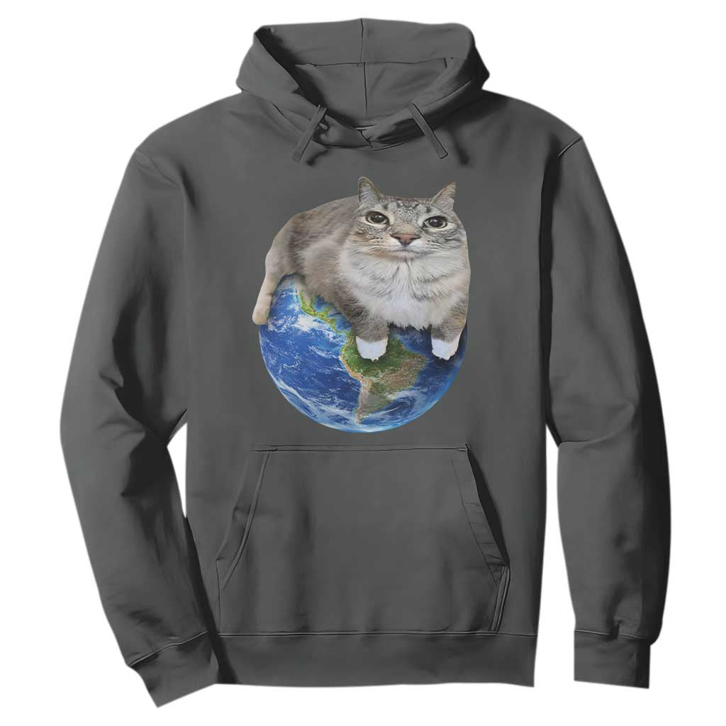 Earth Cat Silly Cat Meme Hoodie TS10 Dark Heather Print Your Wear