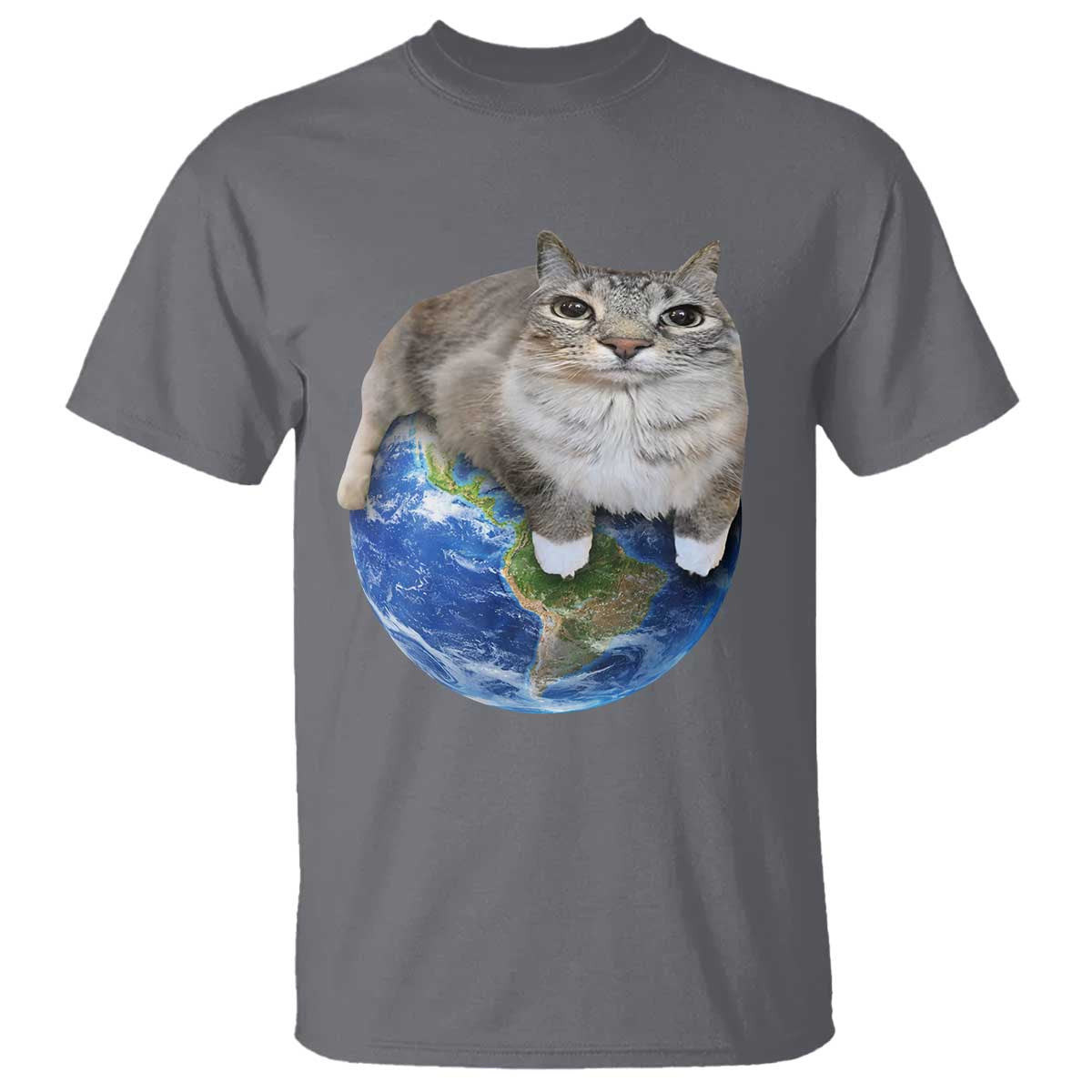 Earth Cat Silly Cat Meme T Shirt TS10 Charcoal Print Your Wear
