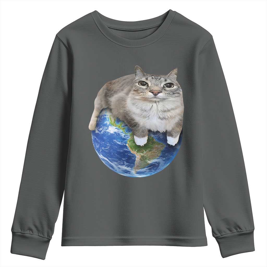 Earth Cat Silly Cat Meme Youth Sweatshirt TS10 Dark Heather Print Your Wear