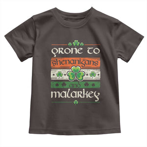 St. Patrick's Day Prone to Shenanigans and Malarkey Toddler T Shirt Funny St Patrick's Day Lucky Shamrock Irish TS10 Dark Chocolate Print Your Wear