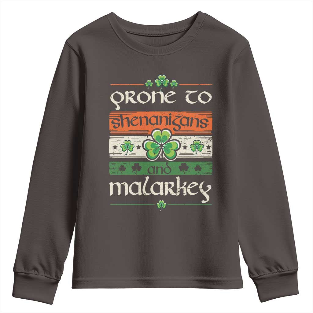 St. Patrick's Day Prone to Shenanigans and Malarkey Youth Sweatshirt Funny St Patrick's Day Lucky Shamrock Irish TS10 Dark Chocolate Print Your Wear
