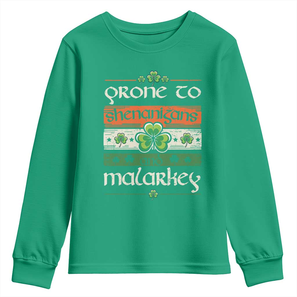 St. Patrick's Day Prone to Shenanigans and Malarkey Youth Sweatshirt Funny St Patrick's Day Lucky Shamrock Irish TS10 Irish Green Print Your Wear